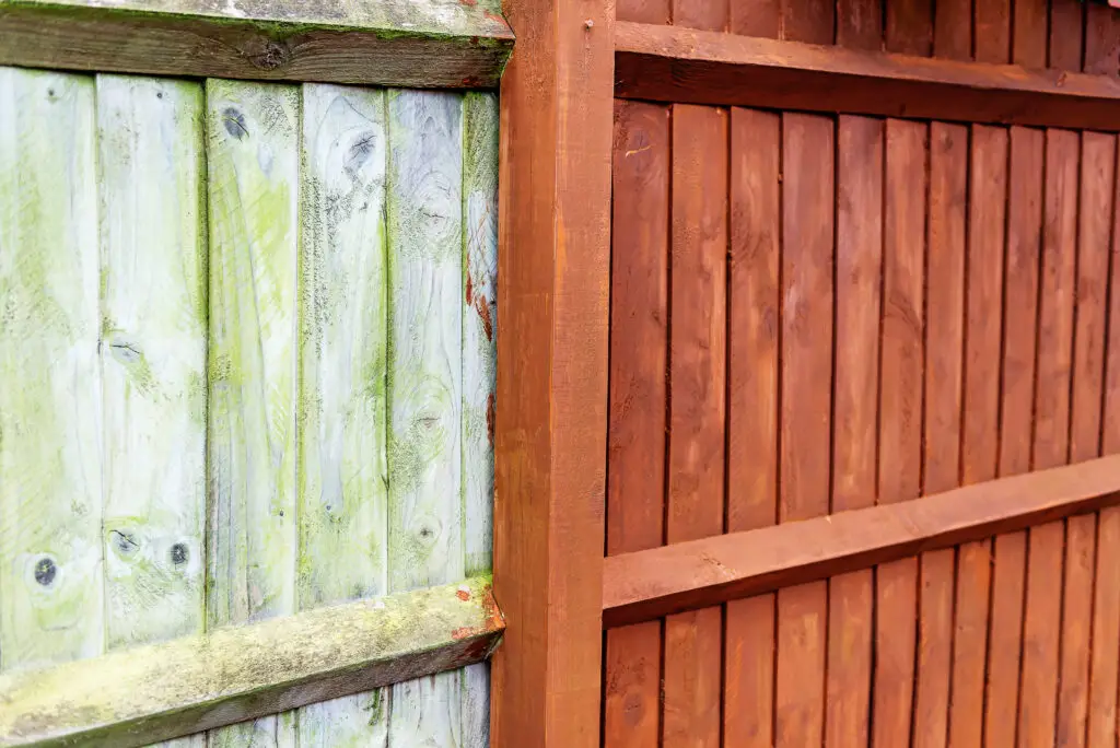 Before and after of a wooden fence panel being painted – a simple home maintenance improvement